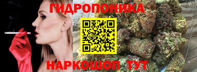 стаф Бугуруслан