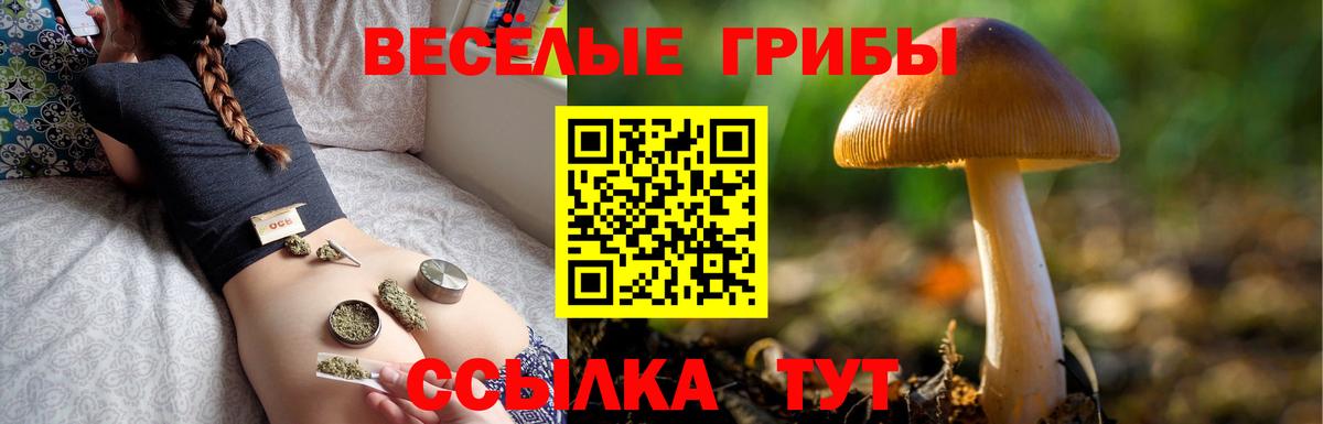 Галлюциногенные грибы мухоморы Мытищи
